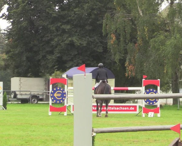 Reitturnier Altmittweida 2021