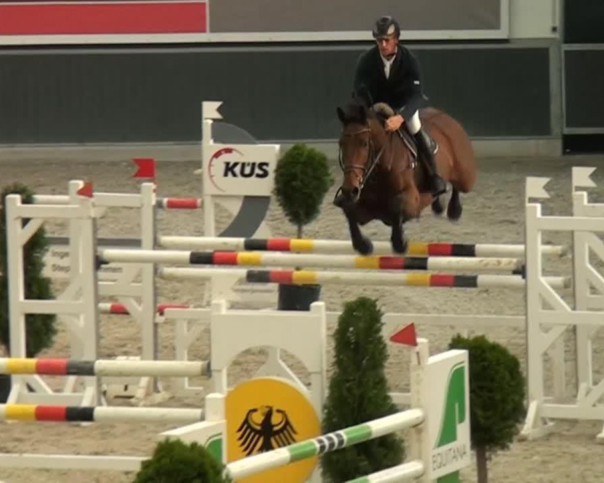 jumper Oskar Della Piere (KWPN (Royal Dutch Sporthorse), 2005, from Concorde)