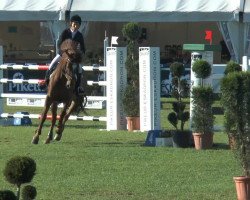 jumper Zareska (KWPN (Royal Dutch Sporthorse), 2004, from Guidam)