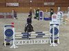 jumper Winetou B (KWPN (Royal Dutch Sporthorse), 2003, from Cobra)