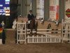 jumper Tjoernelys Comtessa (Danish Warmblood, 2000, from Come Back II)