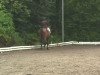 horse Epo 2 (Trakehner, 1999, from Schwadroneur)