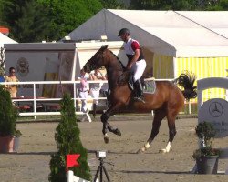 Springpferd Claudine 9 (Österreichisches Warmblut, 2003, von Kannan)