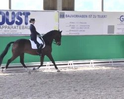 dressage horse Fido Dido (KWPN (Royal Dutch Sporthorse), 2004, from Florencio I)