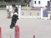 jumper Chairman S (Bavarian, 2004, from Conteur)