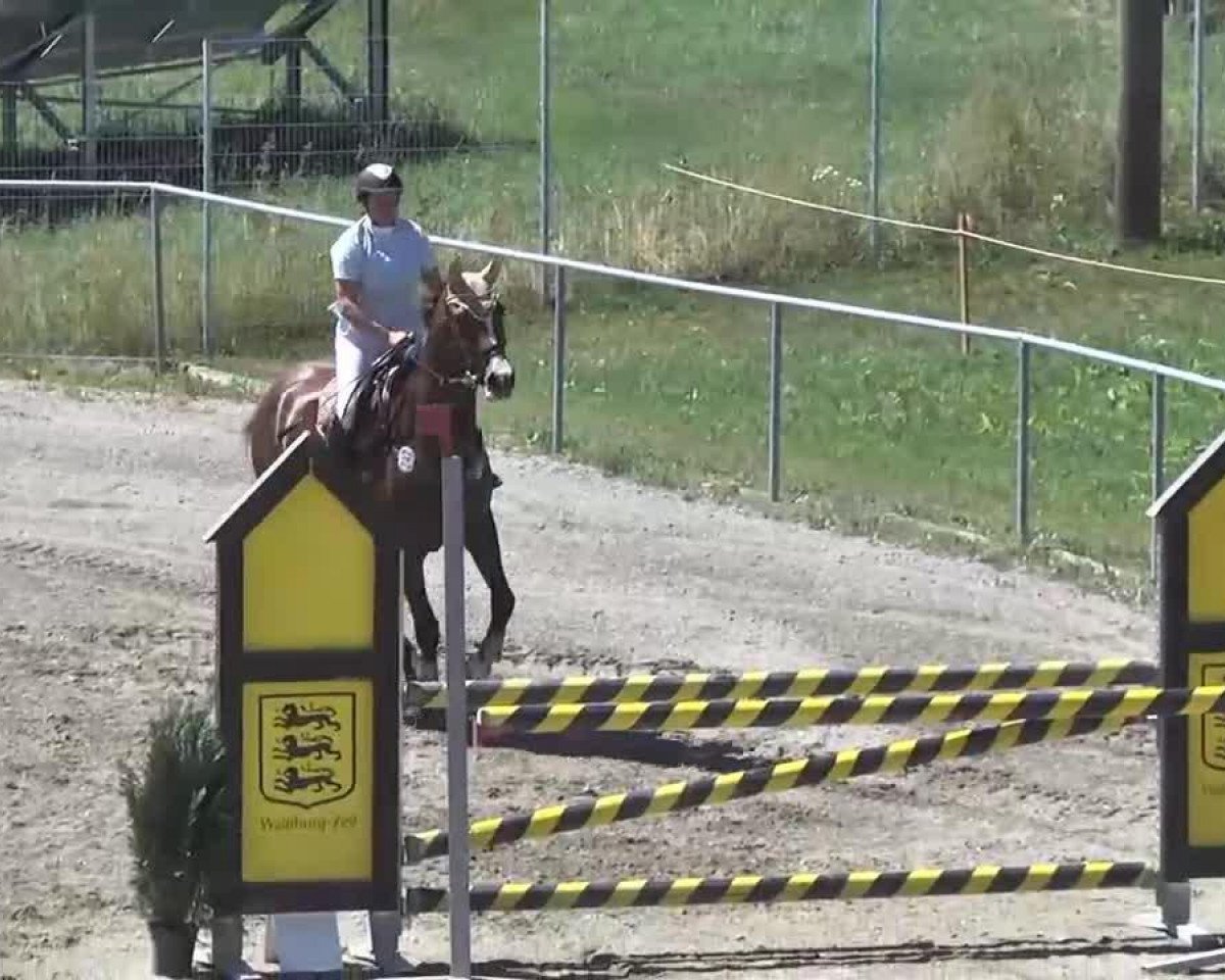 jumper Consuela 8 (Württemberger, 2006, from Cosinus B)