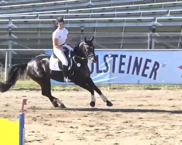 jumper Sanduras (Württemberger, 2006, from Sunny Day)