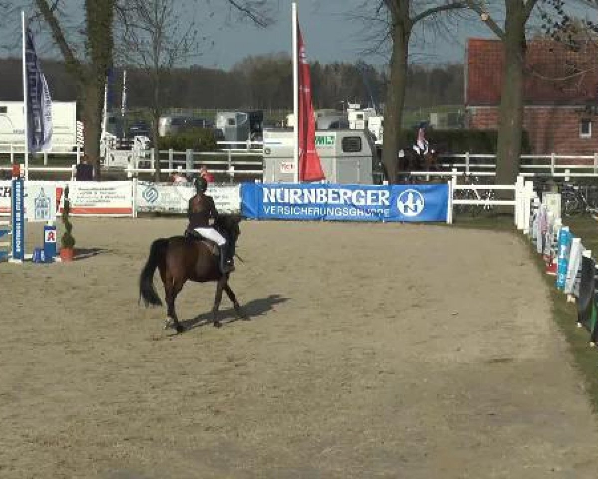 jumper Classic Diamond 2 (Hessian Warmblood, 2002, from Carnando)