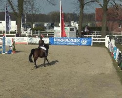 jumper Classic Diamond 2 (Hessian Warmblood, 2002, from Carnando)