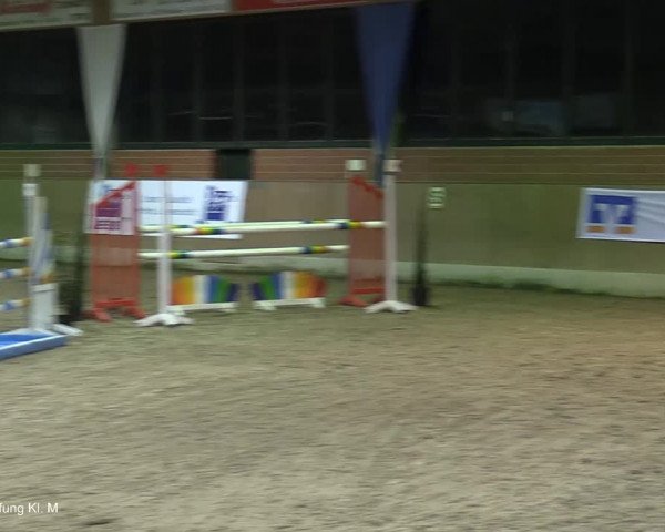Reitturnier Heiden 2021