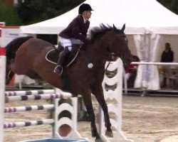 Springpferd Leo Miro (Hessisches Warmblut, 2002, von Levantos I)