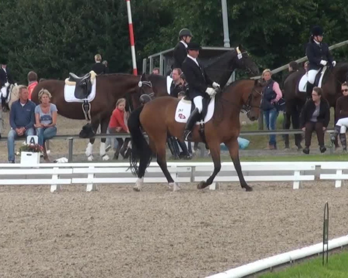 dressage horse Lord Lavendel (Hessian Warmblood, 2004, from Lake Tahoe)