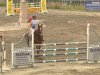 jumper Nanu 129 (German Sport Horse, 2006, from New Time)