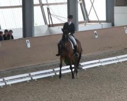 dressage horse Rimbeaud (Zweibrücken, 2001, from Riccione)