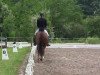 dressage horse Felina 163 (Rhinelander, 2008, from Flatley 2)