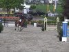 jumper Level two 2 (Rhinelander, 2006, from Lastro)