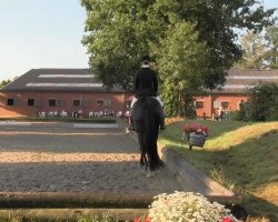 dressage horse Dorissima D (Rhinelander, 2006, from Don Bedo I)