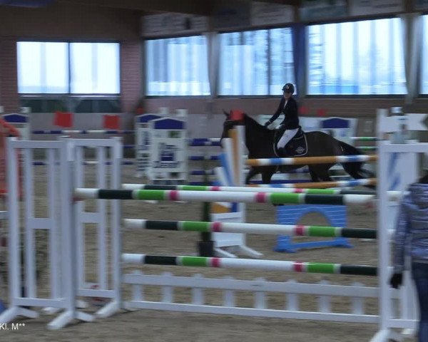 Reitturnier Heiden 2021