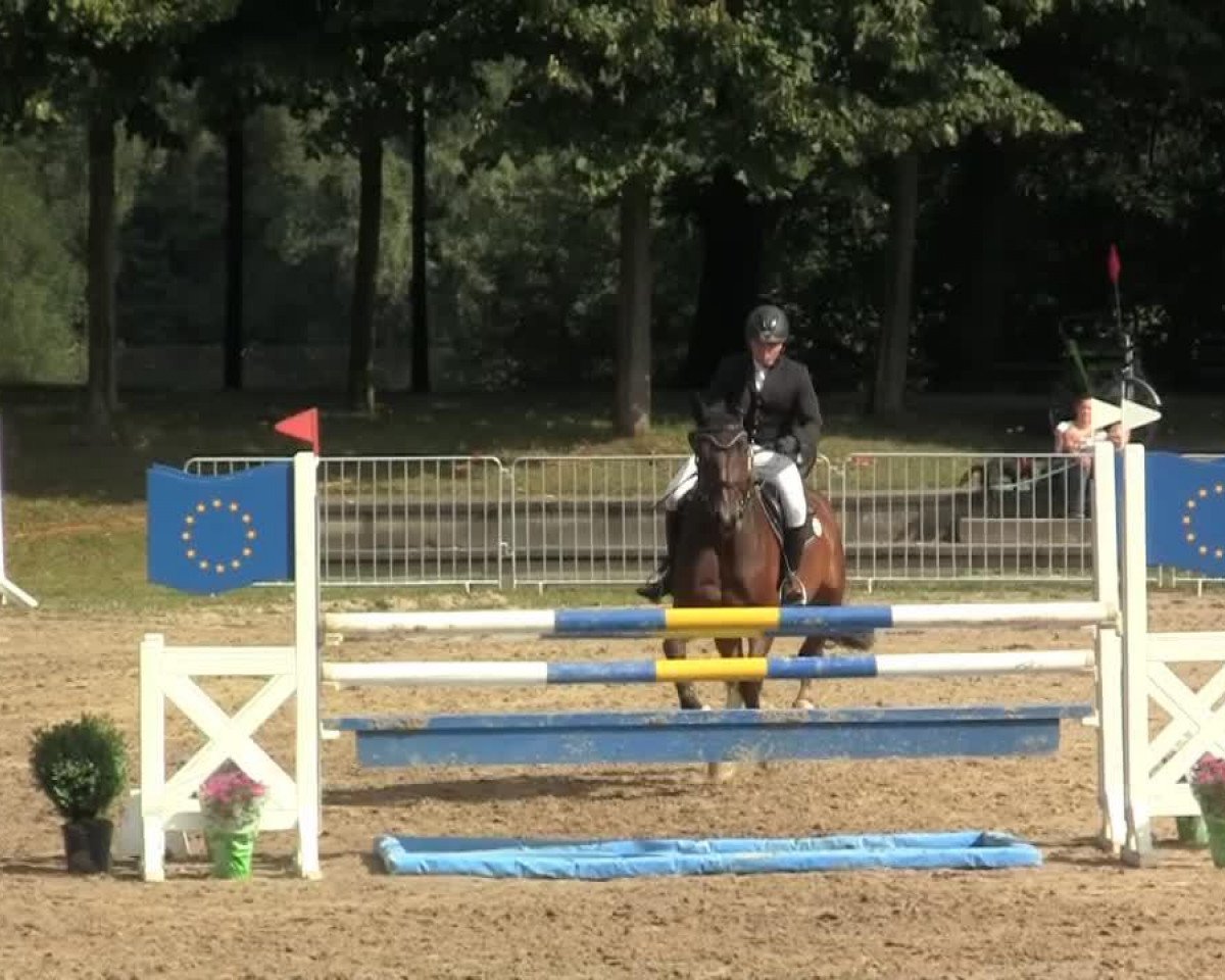 jumper Chamonix W (Rhinelander, 2007, from Collin L)