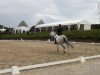 dressage horse Romance (Rhinelander, 2005, from Bravucon S.T.)