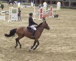 jumper Real Rocky Balboa (Rhinelander, 2005, from Rocket Star)