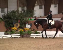 dressage horse Supertramp N (Rhinelander, 2007, from Sunny-Boy)