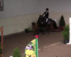 Springpferd Magic Touch 23 (Deutsches Reitpony, 2003, von Monte Verdi)