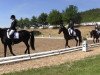 dressage horse Leo 364 (Westphalian, 2000, from Laomedon)