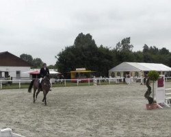 dressage horse Quriboh (Westphalian, 2007, from Quality 9)