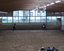 dressage horse Filio 7 (Westphalian, 2004, from Florestan I)