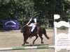 Springpferd Dancer (Deutsches Reitpony, 2001, von Donnerblitz)