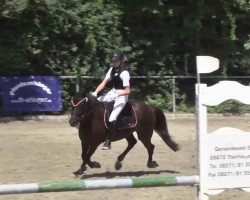 Springpferd Dancer (Deutsches Reitpony, 2001, von Donnerblitz)