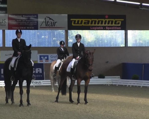 dressage horse Fränzi's Girl (Westphalian, 2006, from Florestan I)