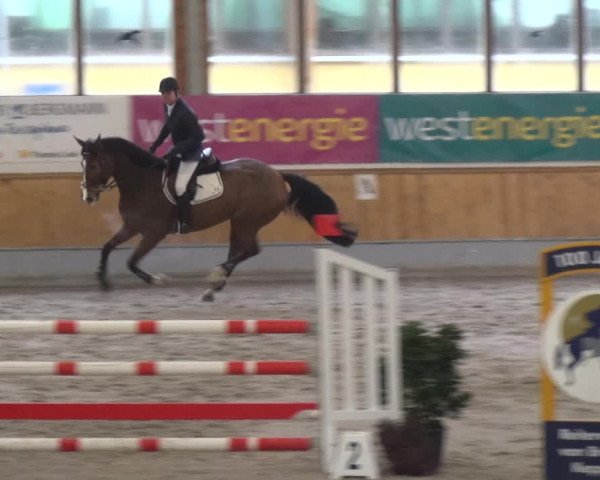 Reitturnier Keppeln - Reitanlage "Hötzenhof" 2021