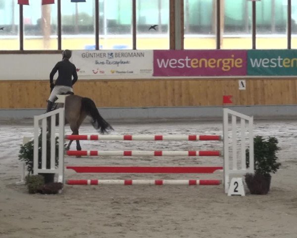 Reitturnier Keppeln - Reitanlage "Hötzenhof" 2021