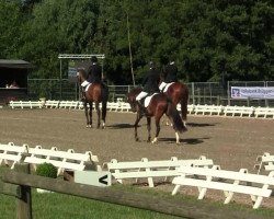 dressage horse Watson (Westphalian, 2002, from Weltmeyer)