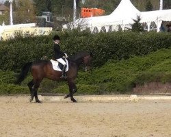 dressage horse Lines 52 (Westphalian, 2005, from Levados)