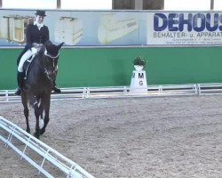 dressage horse Burlington 15 (Westphalian, 2003, from Harmony's Baroncelli)