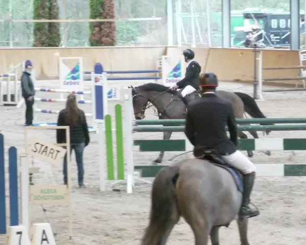 Reitturnier Lahr-Langenwinkel 2021