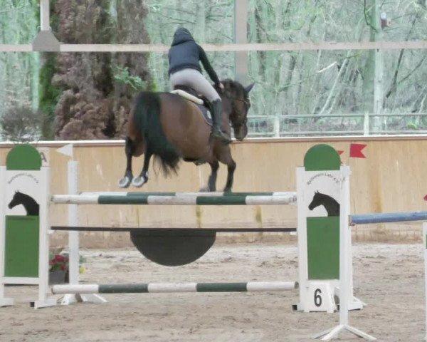 Reitturnier Lahr-Langenwinkel 2021