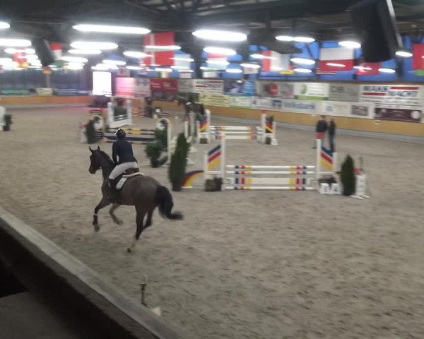 Reitturnier Keppeln - Reitanlage "Hötzenhof" 2021
