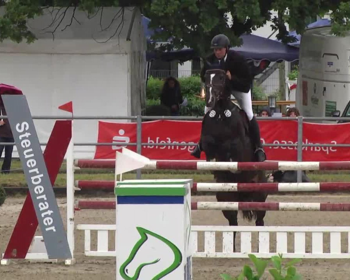 broodmare Finally 7 (Westphalian, 2004, from Holland)