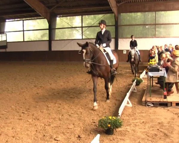 dressage horse Empire Lady 3 (Westphalian, 2007, from Ehrenpreis)