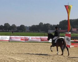 dressage horse Rockberries (Westphalian, 2007, from Rock Forever NRW)