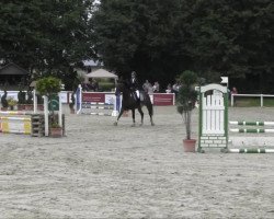 dressage horse Husar 151 (Westphalian, 2004, from Harry)