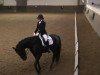 dressage horse Firlefanz 93 (Westphalian, 2007, from Fiano)