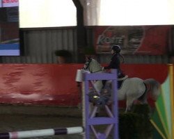 jumper Ninifee B (German Riding Pony, 2000, from Nortenjo)