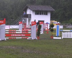 dressage horse Lord of Legat (Westphalian, 2004, from Glock's Lord of Loxley)