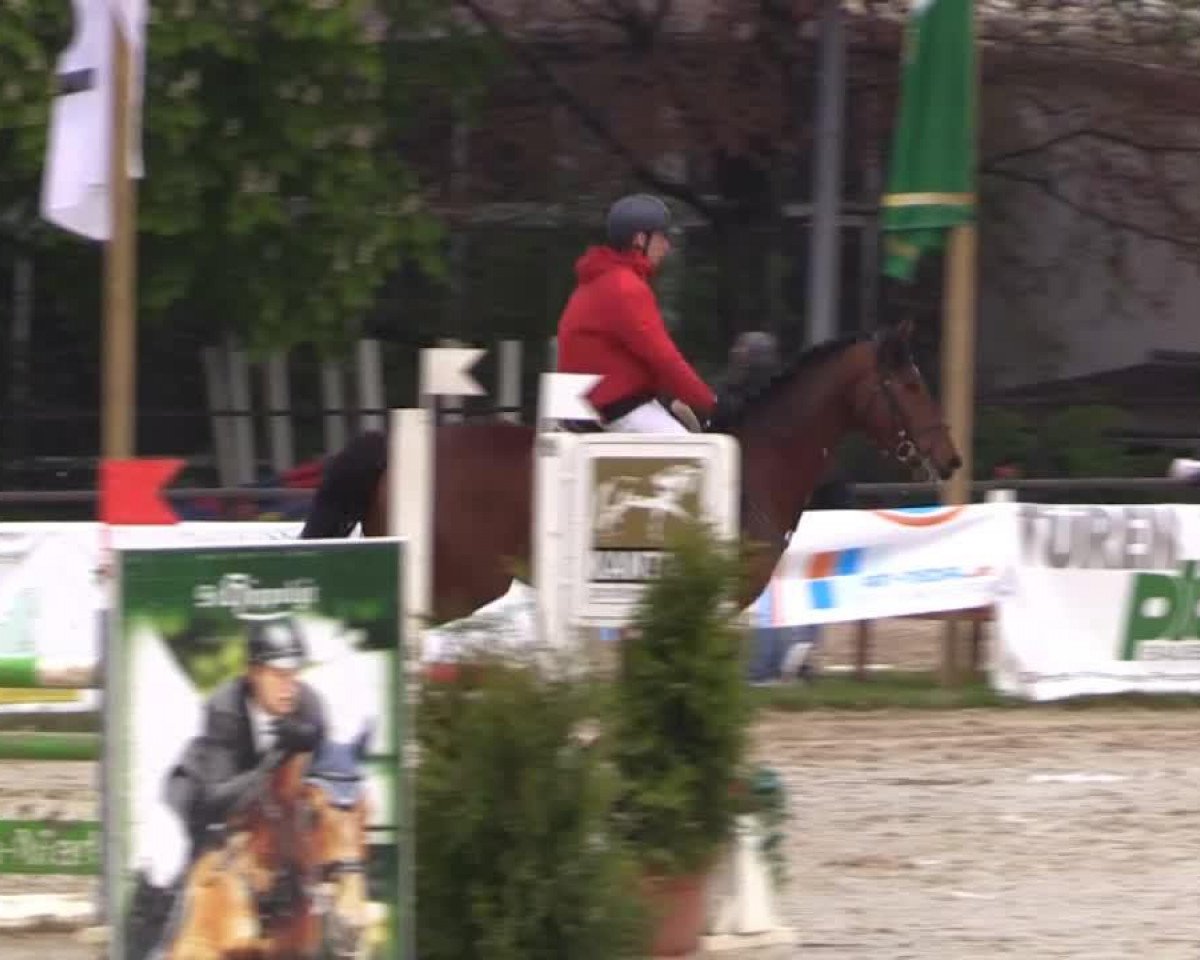 jumper Cocoschinski (Westphalian, 2007, from Colmani)