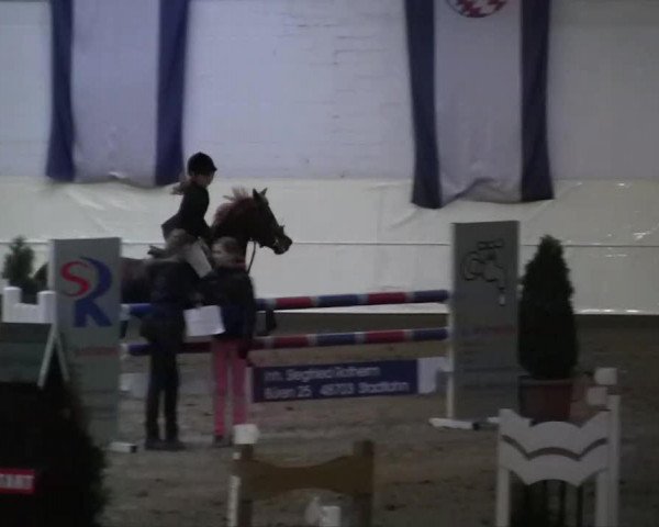 jumper Mira Blue (German Riding Pony, 2006, from Mentos)